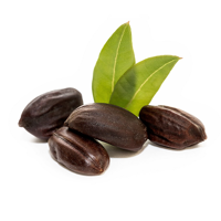 روغن جوجوبا